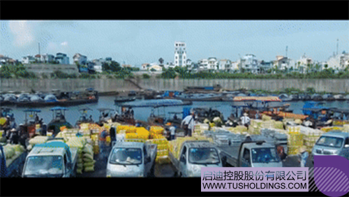 1630637761762766.jpg 6cc.jpg